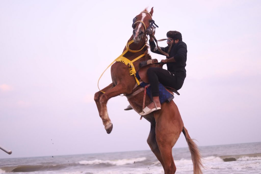 Baytreasure_gallery (9)